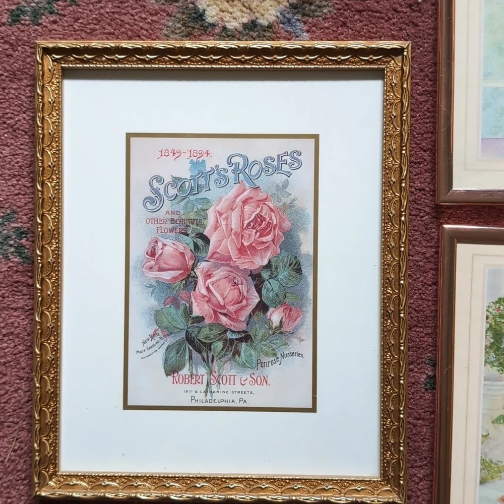 Set of 3 Wall Prints